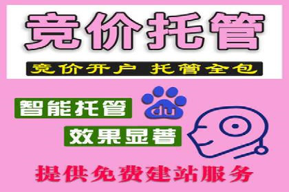 解析百度搜索推广的广告投放策略及效果